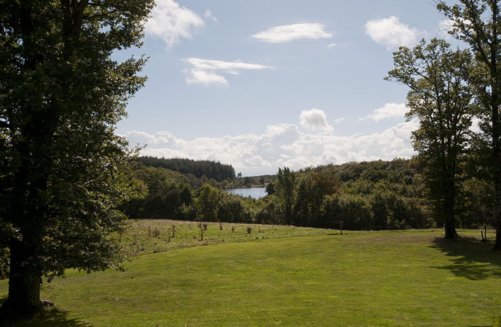 Domaine Esperou Saint-Denis (Aude) Eksteriør billede